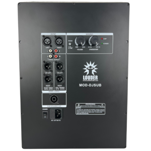 MOD-DJSUB Módulo bi-amplificado subwoofer 600w