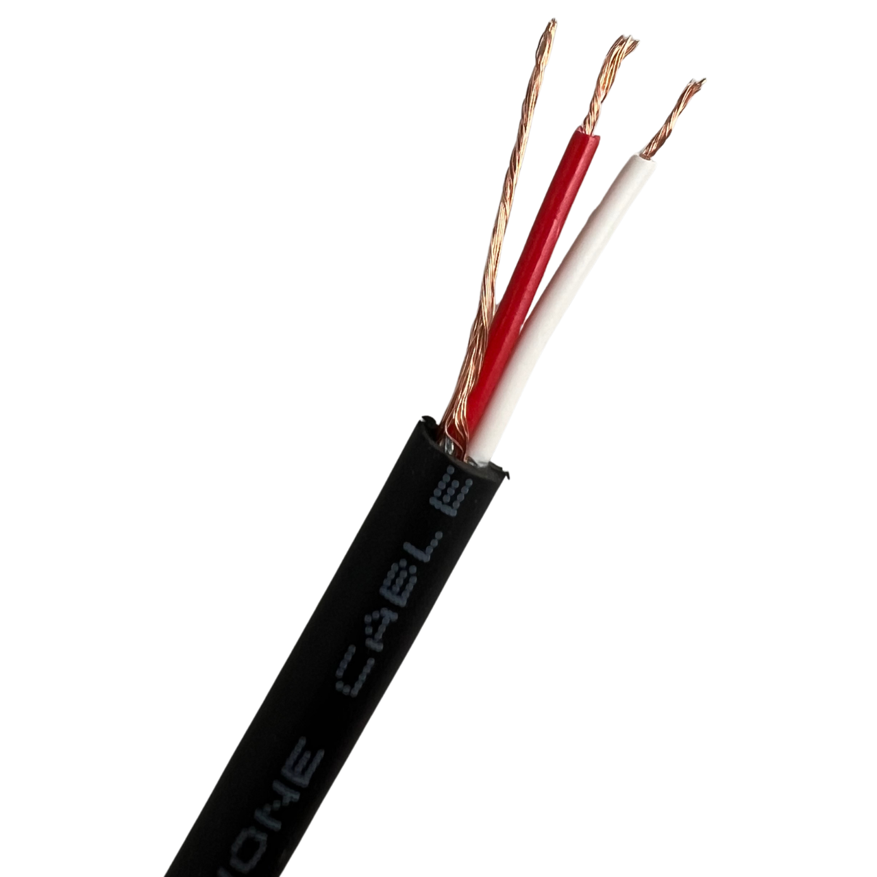 JXLR100 (4)